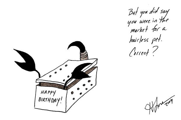 HairlessPet